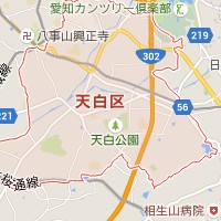 No Throw�A�N�Z�X�n�}